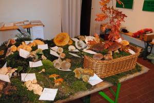 Ob gobarski evforiji je bila tudi razstava bogata 11